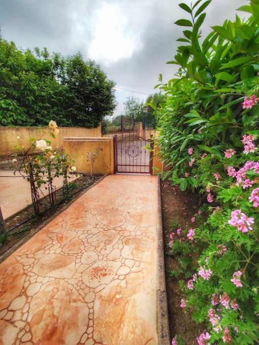 Villetta Di Anastasia 1 Tropea Filandari Экстерьер фото